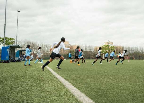 本文将深入 本文将深入